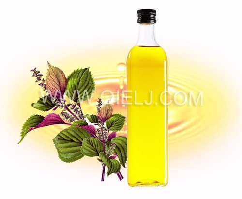 紫蘇油設備 制取紫蘇油成套設備(圖1) 紫蘇油設備 制取紫蘇油成套設備(圖1)